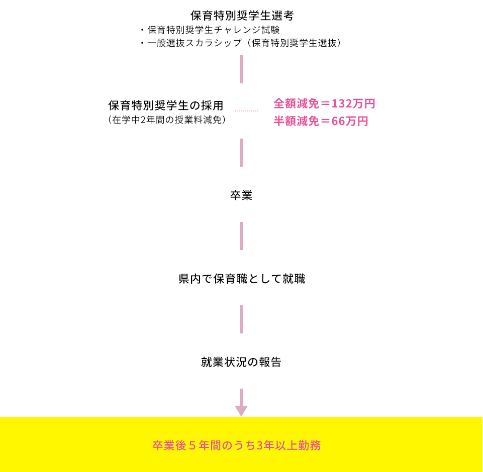 「保育特別奨学生」採用後の流れ